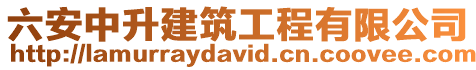 六安中升建筑工程有限公司