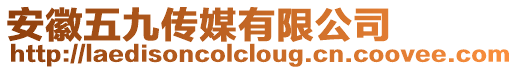 安徽五九傳媒有限公司