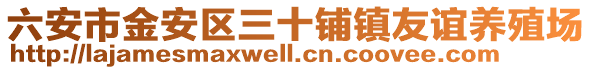 六安市金安區三十鋪鎮友誼養殖場
