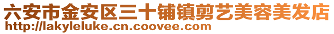 六安市金安區三十鋪鎮剪藝美容美發店
