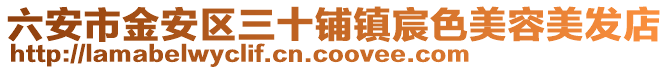 六安市金安區三十鋪鎮宸色美容美發店