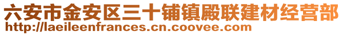 六安市金安區三十鋪鎮殿聯建材經營部