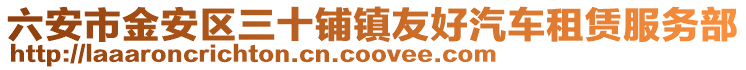 六安市金安區三十鋪鎮友好汽車租賃服務部