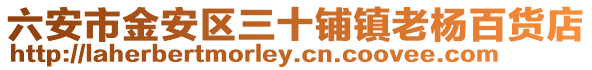 六安市金安區三十鋪鎮老楊百貨店