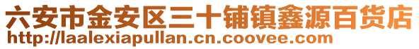 六安市金安區三十鋪鎮鑫源百貨店