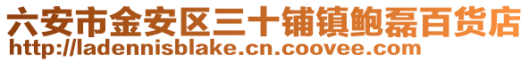 六安市金安區三十鋪鎮鮑磊百貨店