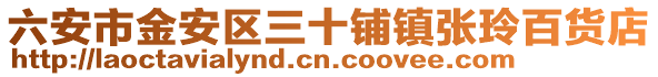 六安市金安區三十鋪鎮張玲百貨店