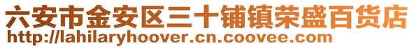 六安市金安區(qū)三十鋪鎮(zhèn)榮盛百貨店