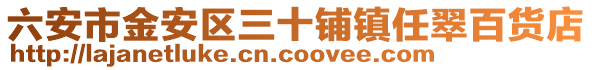 六安市金安區(qū)三十鋪鎮(zhèn)任翠百貨店
