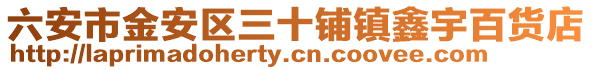 六安市金安區三十鋪鎮鑫宇百貨店