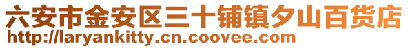 六安市金安區三十鋪鎮夕山百貨店