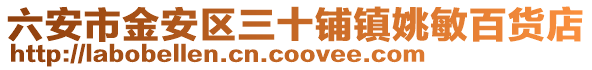 六安市金安區三十鋪鎮姚敏百貨店