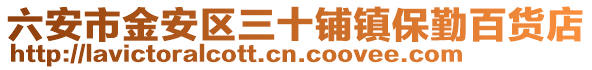 六安市金安區三十鋪鎮保勤百貨店