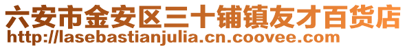 六安市金安區(qū)三十鋪鎮(zhèn)友才百貨店