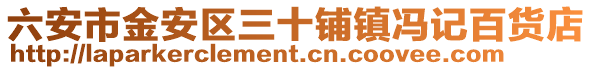六安市金安區三十鋪鎮馮記百貨店