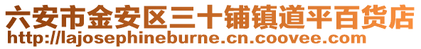 六安市金安區(qū)三十鋪鎮(zhèn)道平百貨店