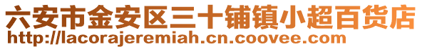 六安市金安區(qū)三十鋪鎮(zhèn)小超百貨店