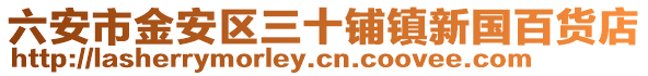 六安市金安區三十鋪鎮新國百貨店