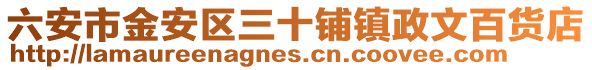 六安市金安區三十鋪鎮政文百貨店