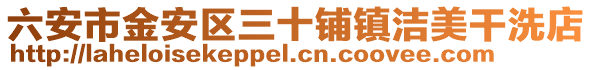 六安市金安區三十鋪鎮潔美干洗店