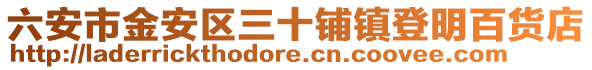 六安市金安區三十鋪鎮登明百貨店