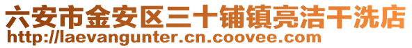 六安市金安區三十鋪鎮亮潔干洗店