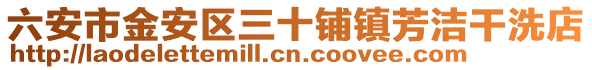 六安市金安區(qū)三十鋪鎮(zhèn)芳潔干洗店