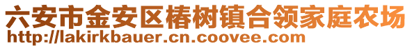 六安市金安區椿樹鎮合領家庭農場