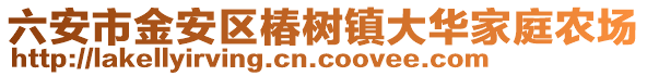 六安市金安區(qū)椿樹(shù)鎮(zhèn)大華家庭農(nóng)場(chǎng)