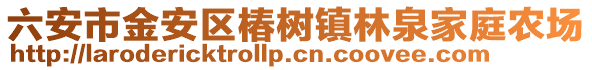 六安市金安區(qū)椿樹鎮(zhèn)林泉家庭農(nóng)場
