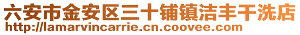 六安市金安區三十鋪鎮潔豐干洗店