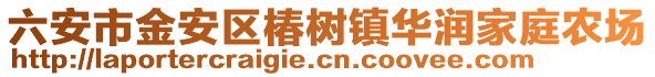 六安市金安區(qū)椿樹鎮(zhèn)華潤家庭農(nóng)場