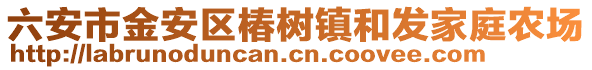 六安市金安區椿樹鎮和發家庭農場