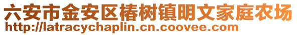 六安市金安區椿樹鎮明文家庭農場