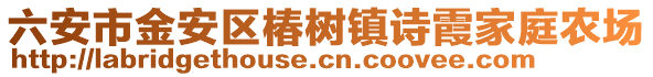 六安市金安區椿樹鎮詩霞家庭農場