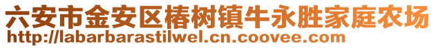 六安市金安區椿樹鎮牛永勝家庭農場