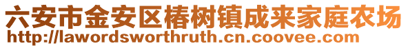 六安市金安區椿樹鎮成來家庭農場