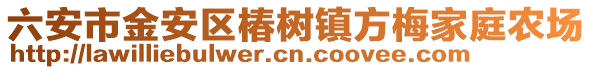 六安市金安區椿樹鎮方梅家庭農場