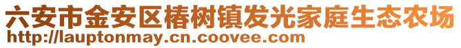 六安市金安區椿樹鎮發光家庭生態農場