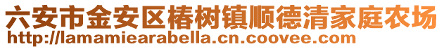 六安市金安區椿樹鎮順德清家庭農場