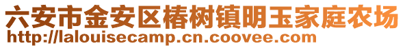 六安市金安區椿樹鎮明玉家庭農場