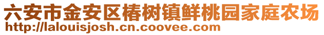 六安市金安區(qū)椿樹鎮(zhèn)鮮桃園家庭農(nóng)場