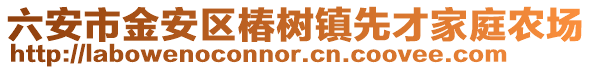 六安市金安區(qū)椿樹鎮(zhèn)先才家庭農(nóng)場