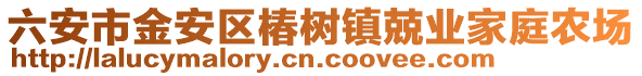 六安市金安區椿樹鎮兢業家庭農場