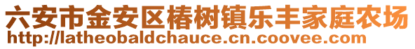 六安市金安區(qū)椿樹鎮(zhèn)樂豐家庭農(nóng)場