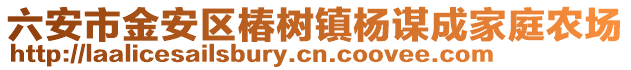 六安市金安區椿樹鎮楊謀成家庭農場