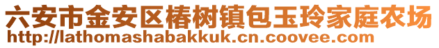 六安市金安區椿樹鎮包玉玲家庭農場