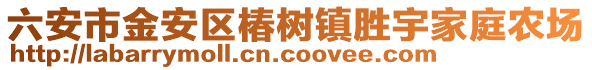 六安市金安區椿樹鎮勝宇家庭農場
