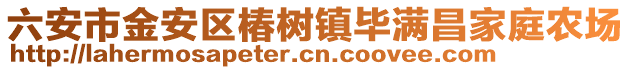 六安市金安區椿樹鎮畢滿昌家庭農場