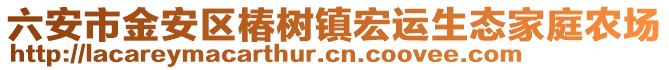 六安市金安區椿樹鎮宏運生態家庭農場